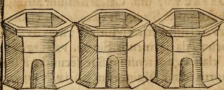 An illustration from Notitia vtraqve cvm orientis tvm occidentis vltra Arcadii Honoriiqve Cæsarvm tempora, illustre uetustatis monumentum, imò thesaurus prorsum incomparabilis : Præcedit aute D. Andreæ Alciati libellus, De magistratib. ciuilibusq; ac militaribus officijs, partim ex hac ipsa Notitia, partim aliunde desumptus : cvi succedit Descriptio urbis Romæ, quæ sub titulo Pub. Victoris circumfertur : & altera urbis Constantinopolitanæ incerto autore, nunquã antehac typis excusa, imperialium uidelicet ac primariaru sedium utriusq reipub : svbiungitur Notitiis uetustus liber De rebvs bellicis ad Theodosium Aug & filios eius Arcadium atq; Honorium, ut uidetur, scriptus incerto autore : item, ne quid de antiquo exemplari omitteretur, Disputatio Adriani Aug. & Epicteti philosophi, 1552, leaf 173