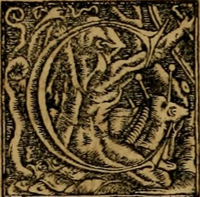 An illustration from Notitia vtraqve cvm orientis tvm occidentis vltra Arcadii Honoriiqve Cæsarvm tempora, illustre uetustatis monumentum, imò thesaurus prorsum incomparabilis : Præcedit aute D. Andreæ Alciati libellus, De magistratib. ciuilibusq; ac militaribus officijs, partim ex hac ipsa Notitia, partim aliunde desumptus : cvi succedit Descriptio urbis Romæ, quæ sub titulo Pub. Victoris circumfertur : & altera urbis Constantinopolitanæ incerto autore, nunquã antehac typis excusa, imperialium uidelicet ac primariaru sedium utriusq reipub : svbiungitur Notitiis uetustus liber De rebvs bellicis ad Theodosium Aug & filios eius Arcadium atq; Honorium, ut uidetur, scriptus incerto autore : item, ne quid de antiquo exemplari omitteretur, Disputatio Adriani Aug. & Epicteti philosophi, 1552, leaf 196