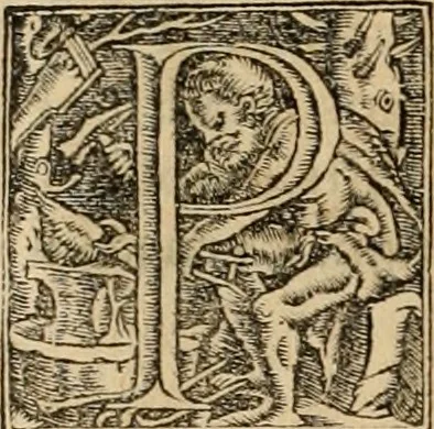 An illustration from Notitia vtraqve cvm orientis tvm occidentis vltra Arcadii Honoriiqve Cæsarvm tempora, illustre uetustatis monumentum, imò thesaurus prorsum incomparabilis : Præcedit aute D. Andreæ Alciati libellus, De magistratib. ciuilibusq; ac militaribus officijs, partim ex hac ipsa Notitia, partim aliunde desumptus : cvi succedit Descriptio urbis Romæ, quæ sub titulo Pub. Victoris circumfertur : & altera urbis Constantinopolitanæ incerto autore, nunquã antehac typis excusa, imperialium uidelicet ac primariaru sedium utriusq reipub : svbiungitur Notitiis uetustus liber De rebvs bellicis ad Theodosium Aug & filios eius Arcadium atq; Honorium, ut uidetur, scriptus incerto autore : item, ne quid de antiquo exemplari omitteretur, Disputatio Adriani Aug. & Epicteti philosophi, 1552, leaf 31