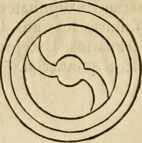 An illustration from Notitia vtraqve cvm orientis tvm occidentis vltra Arcadii Honoriiqve Cæsarvm tempora, illustre uetustatis monumentum, imò thesaurus prorsum incomparabilis : Præcedit aute D. Andreæ Alciati libellus, De magistratib. ciuilibusq; ac militaribus officijs, partim ex hac ipsa Notitia, partim aliunde desumptus : cvi succedit Descriptio urbis Romæ, quæ sub titulo Pub. Victoris circumfertur : & altera urbis Constantinopolitanæ incerto autore, nunquã antehac typis excusa, imperialium uidelicet ac primariaru sedium utriusq reipub : svbiungitur Notitiis uetustus liber De rebvs bellicis ad Theodosium Aug & filios eius Arcadium atq; Honorium, ut uidetur, scriptus incerto autore : item, ne quid de antiquo exemplari omitteretur, Disputatio Adriani Aug. & Epicteti philosophi, 1552, leaf 41