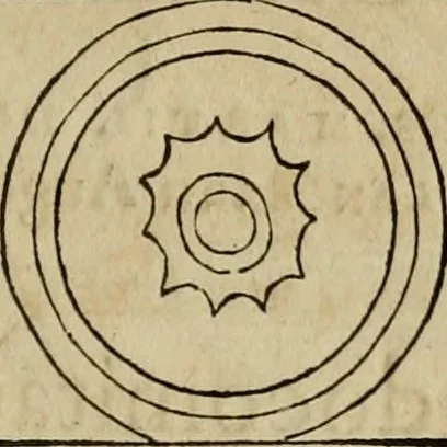 An illustration from Notitia vtraqve cvm orientis tvm occidentis vltra Arcadii Honoriiqve Cæsarvm tempora, illustre uetustatis monumentum, imò thesaurus prorsum incomparabilis : Præcedit aute D. Andreæ Alciati libellus, De magistratib. ciuilibusq; ac militaribus officijs, partim ex hac ipsa Notitia, partim aliunde desumptus : cvi succedit Descriptio urbis Romæ, quæ sub titulo Pub. Victoris circumfertur : & altera urbis Constantinopolitanæ incerto autore, nunquã antehac typis excusa, imperialium uidelicet ac primariaru sedium utriusq reipub : svbiungitur Notitiis uetustus liber De rebvs bellicis ad Theodosium Aug & filios eius Arcadium atq; Honorium, ut uidetur, scriptus incerto autore : item, ne quid de antiquo exemplari omitteretur, Disputatio Adriani Aug. & Epicteti philosophi, 1552, leaf 48