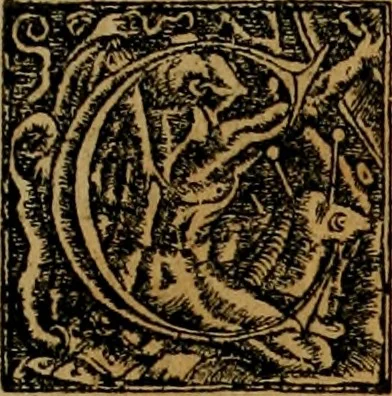 An illustration from Notitia vtraqve cvm orientis tvm occidentis vltra Arcadii Honoriiqve Cæsarvm tempora, illustre uetustatis monumentum, imò thesaurus prorsum incomparabilis : Præcedit aute D. Andreæ Alciati libellus, De magistratib. ciuilibusq; ac militaribus officijs, partim ex hac ipsa Notitia, partim aliunde desumptus : cvi succedit Descriptio urbis Romæ, quæ sub titulo Pub. Victoris circumfertur : & altera urbis Constantinopolitanæ incerto autore, nunquã antehac typis excusa, imperialium uidelicet ac primariaru sedium utriusq reipub : svbiungitur Notitiis uetustus liber De rebvs bellicis ad Theodosium Aug & filios eius Arcadium atq; Honorium, ut uidetur, scriptus incerto autore : item, ne quid de antiquo exemplari omitteretur, Disputatio Adriani Aug. & Epicteti philosophi, 1552, leaf 6
