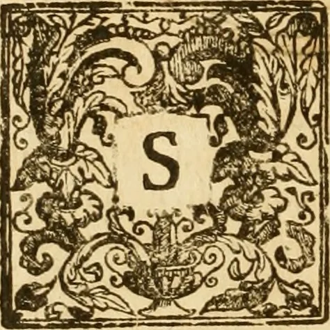An illustration from Notitie historiche della citta d'Ancona : gia termine dell' antico regno d'Italia con diuersi auuenimenti nella Marca Anconitana, & in detto regno accaduti, 1675, leaf 109