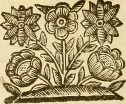 An illustration from Notitie historiche della citta d'Ancona : gia termine dell' antico regno d'Italia con diuersi auuenimenti nella Marca Anconitana, & in detto regno accaduti, 1675, leaf 13
