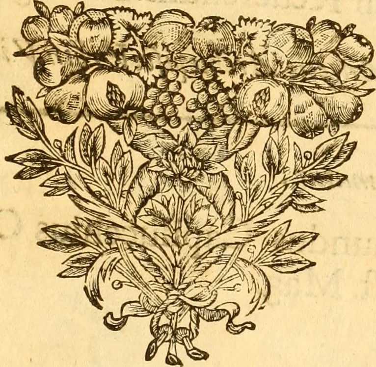 An illustration from Notitie historiche della citta d'Ancona : gia termine dell' antico regno d'Italia con diuersi auuenimenti nella Marca Anconitana, & in detto regno accaduti, 1675, leaf 14