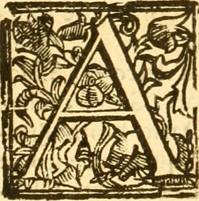An illustration from Notitie historiche della citta d'Ancona : gia termine dell' antico regno d'Italia con diuersi auuenimenti nella Marca Anconitana, & in detto regno accaduti, 1675, leaf 18