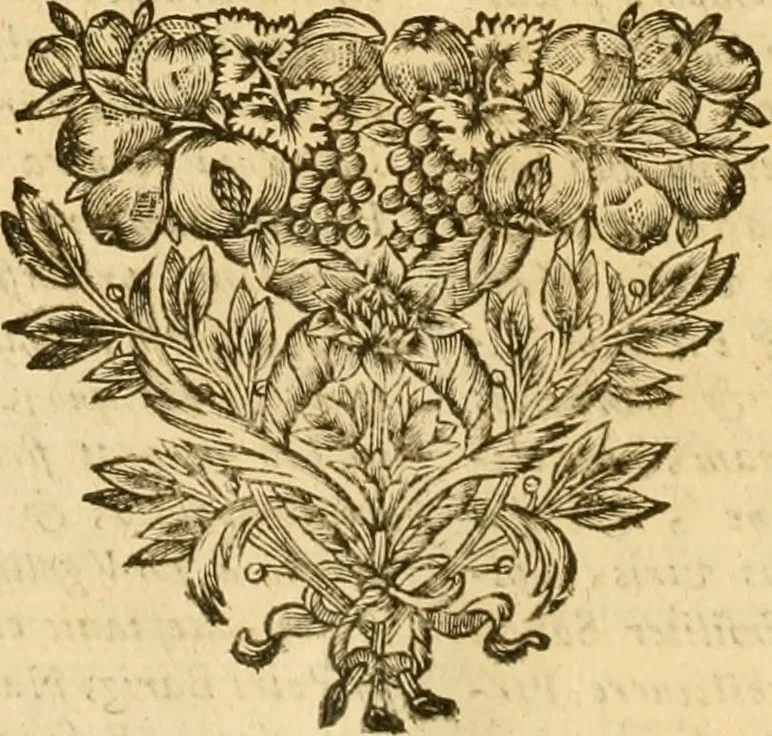 An illustration from Notitie historiche della citta d'Ancona : gia termine dell' antico regno d'Italia con diuersi auuenimenti nella Marca Anconitana, & in detto regno accaduti, 1675, leaf 183