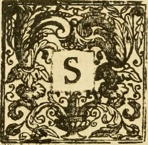 An illustration from Notitie historiche della citta d'Ancona : gia termine dell' antico regno d'Italia con diuersi auuenimenti nella Marca Anconitana, & in detto regno accaduti, 1675, leaf 213