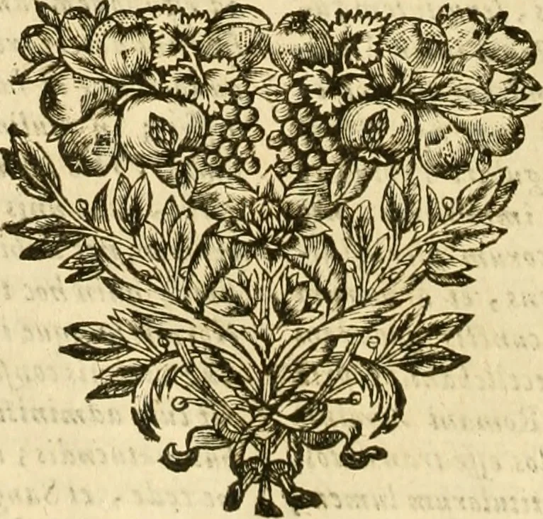 An illustration from Notitie historiche della citta d'Ancona : gia termine dell' antico regno d'Italia con diuersi auuenimenti nella Marca Anconitana, & in detto regno accaduti, 1675, leaf 255
