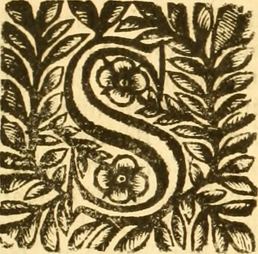 An illustration from Notitie historiche della citta d'Ancona : gia termine dell' antico regno d'Italia con diuersi auuenimenti nella Marca Anconitana, & in detto regno accaduti, 1675, leaf 256