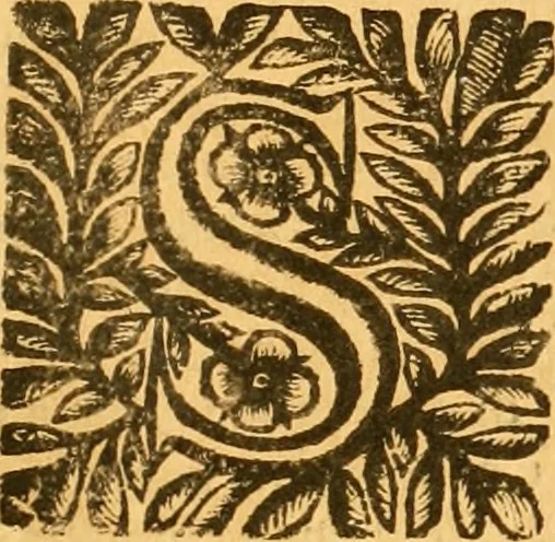 An illustration from Notitie historiche della citta d'Ancona : gia termine dell' antico regno d'Italia con diuersi auuenimenti nella Marca Anconitana, & in detto regno accaduti, 1675, leaf 456