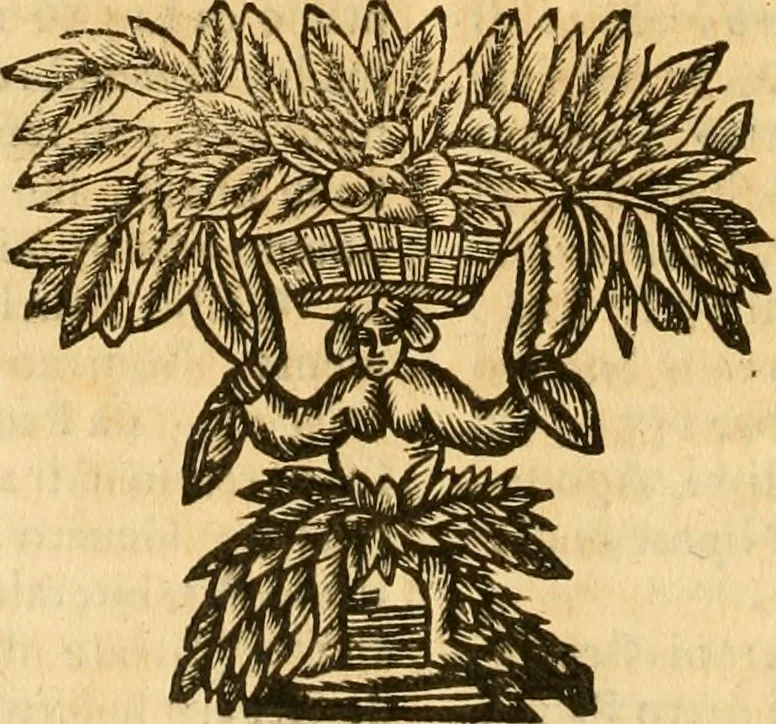 An illustration from Notitie historiche della citta d'Ancona : gia termine dell' antico regno d'Italia con diuersi auuenimenti nella Marca Anconitana, & in detto regno accaduti, 1675, leaf 557