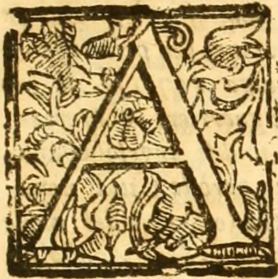 An illustration from Notitie historiche della citta d'Ancona : gia termine dell' antico regno d'Italia con diuersi auuenimenti nella Marca Anconitana, & in detto regno accaduti, 1675, leaf 562