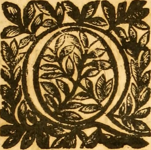 An illustration from Notitie historiche della citta d'Ancona : gia termine dell' antico regno d'Italia con diuersi auuenimenti nella Marca Anconitana, & in detto regno accaduti, 1675, leaf 8