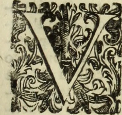 An illustration from Notizie de' professori del disegno da Cimabve in qva, per le quali si dimostra come, e per chi le bell'arti di pittura, scultura, e architettura lasciata la rozzezza delle maniere greca, e gottica, si siano in questi secoli ridotte all' antica loro perfezione, 1681, leaf 116