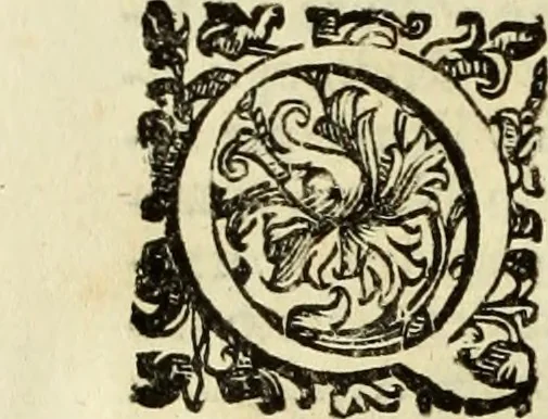 An illustration from Notizie de' professori del disegno da Cimabve in qva, per le quali si dimostra come, e per chi le bell'arti di pittura, scultura, e architettura lasciata la rozzezza delle maniere greca, e gottica, si siano in questi secoli ridotte all' antica loro perfezione, 1681, leaf 135