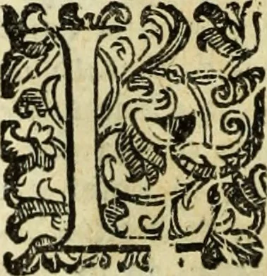 An illustration from Notizie de' professori del disegno da Cimabve in qva, per le quali si dimostra come, e per chi le bell'arti di pittura, scultura, e architettura lasciata la rozzezza delle maniere greca, e gottica, si siano in questi secoli ridotte all' antica loro perfezione, 1681, leaf 135