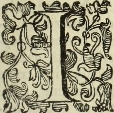 An illustration from Notizie de' professori del disegno da Cimabve in qva, per le quali si dimostra come, e per chi le bell'arti di pittura, scultura, e architettura lasciata la rozzezza delle maniere greca, e gottica, si siano in questi secoli ridotte all' antica loro perfezione, 1681, leaf 154