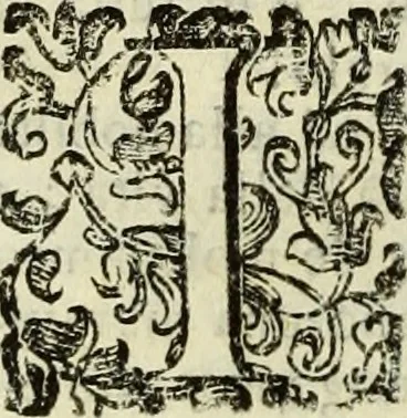 An illustration from Notizie de' professori del disegno da Cimabve in qva, per le quali si dimostra come, e per chi le bell'arti di pittura, scultura, e architettura lasciata la rozzezza delle maniere greca, e gottica, si siano in questi secoli ridotte all' antica loro perfezione, 1681, leaf 157