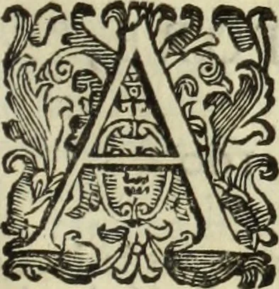 An illustration from Notizie de' professori del disegno da Cimabve in qva, per le quali si dimostra come, e per chi le bell'arti di pittura, scultura, e architettura lasciata la rozzezza delle maniere greca, e gottica, si siano in questi secoli ridotte all' antica loro perfezione, 1681, leaf 174