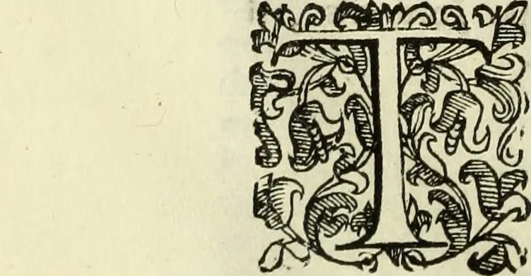 An illustration from Notizie de' professori del disegno da Cimabve in qva, per le quali si dimostra come, e per chi le bell'arti di pittura, scultura, e architettura lasciata la rozzezza delle maniere greca, e gottica, si siano in questi secoli ridotte all' antica loro perfezione, 1681, leaf 175