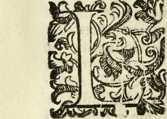 An illustration from Notizie de' professori del disegno da Cimabve in qva, per le quali si dimostra come, e per chi le bell'arti di pittura, scultura, e architettura lasciata la rozzezza delle maniere greca, e gottica, si siano in questi secoli ridotte all' antica loro perfezione, 1681, leaf 201