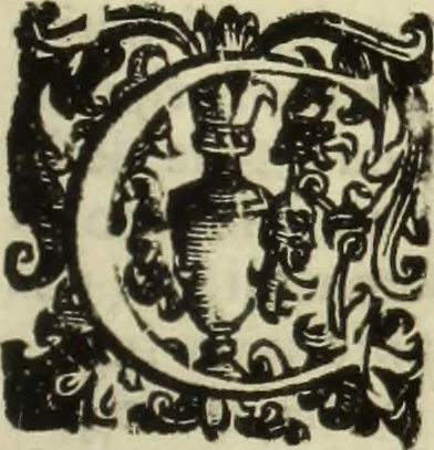 An illustration from Notizie de' professori del disegno da Cimabve in qva, per le quali si dimostra come, e per chi le bell'arti di pittura, scultura, e architettura lasciata la rozzezza delle maniere greca, e gottica, si siano in questi secoli ridotte all' antica loro perfezione, 1681, leaf 208