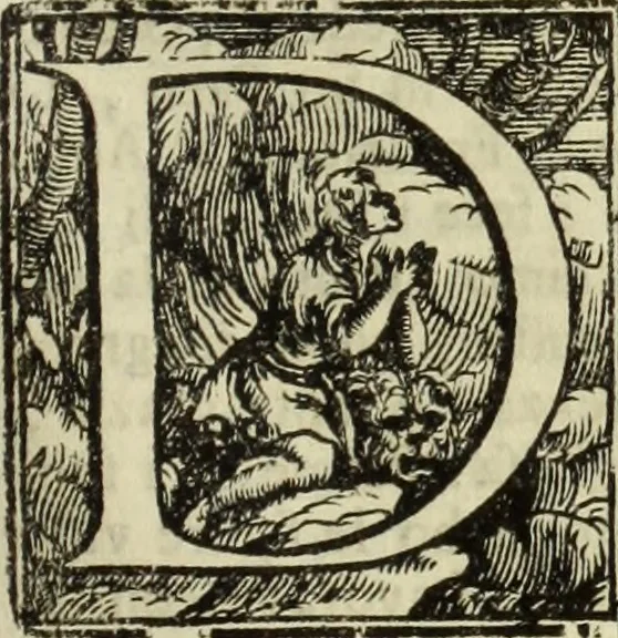 An illustration from Notizie de' professori del disegno da Cimabve in qva, per le quali si dimostra come, e per chi le bell'arti di pittura, scultura, e architettura lasciata la rozzezza delle maniere greca, e gottica, si siano in questi secoli ridotte all' antica loro perfezione, 1681, leaf 238