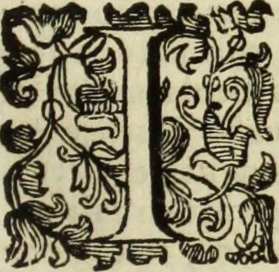 An illustration from Notizie de' professori del disegno da Cimabve in qva, per le quali si dimostra come, e per chi le bell'arti di pittura, scultura, e architettura lasciata la rozzezza delle maniere greca, e gottica, si siano in questi secoli ridotte all' antica loro perfezione, 1681, leaf 240