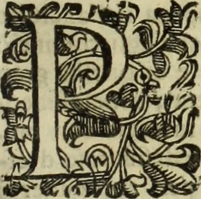 An illustration from Notizie de' professori del disegno da Cimabve in qva, per le quali si dimostra come, e per chi le bell'arti di pittura, scultura, e architettura lasciata la rozzezza delle maniere greca, e gottica, si siano in questi secoli ridotte all' antica loro perfezione, 1681, leaf 244