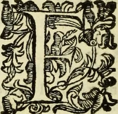 An illustration from Notizie de' professori del disegno da Cimabve in qva, per le quali si dimostra come, e per chi le bell'arti di pittura, scultura, e architettura lasciata la rozzezza delle maniere greca, e gottica, si siano in questi secoli ridotte all' antica loro perfezione, 1681, leaf 245