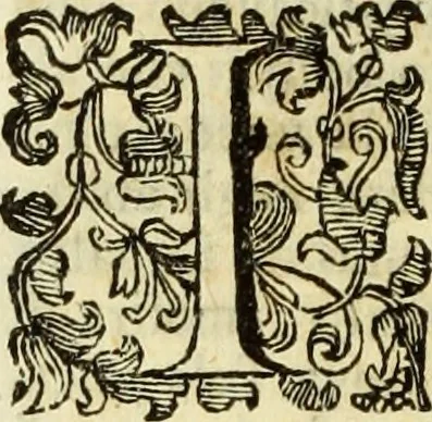 An illustration from Notizie de' professori del disegno da Cimabve in qva, per le quali si dimostra come, e per chi le bell'arti di pittura, scultura, e architettura lasciata la rozzezza delle maniere greca, e gottica, si siano in questi secoli ridotte all' antica loro perfezione, 1681, leaf 247