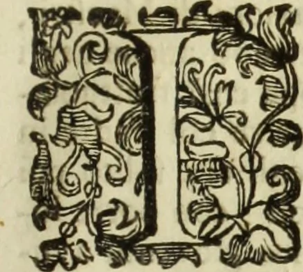 An illustration from Notizie de' professori del disegno da Cimabve in qva, per le quali si dimostra come, e per chi le bell'arti di pittura, scultura, e architettura lasciata la rozzezza delle maniere greca, e gottica, si siano in questi secoli ridotte all' antica loro perfezione, 1681, leaf 252