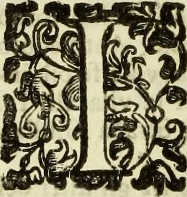 An illustration from Notizie de' professori del disegno da Cimabve in qva, per le quali si dimostra come, e per chi le bell'arti di pittura, scultura, e architettura lasciata la rozzezza delle maniere greca, e gottica, si siano in questi secoli ridotte all' antica loro perfezione, 1681, leaf 259