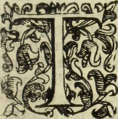 An illustration from Notizie de' professori del disegno da Cimabve in qva, per le quali si dimostra come, e per chi le bell'arti di pittura, scultura, e architettura lasciata la rozzezza delle maniere greca, e gottica, si siano in questi secoli ridotte all' antica loro perfezione, 1681, leaf 270