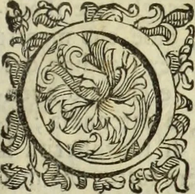 An illustration from Notizie de' professori del disegno da Cimabve in qva, per le quali si dimostra come, e per chi le bell'arti di pittura, scultura, e architettura lasciata la rozzezza delle maniere greca, e gottica, si siano in questi secoli ridotte all' antica loro perfezione, 1681, leaf 284
