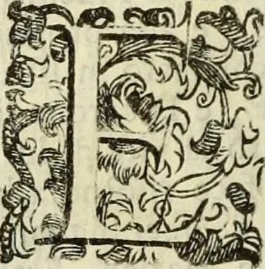 An illustration from Notizie de' professori del disegno da Cimabve in qva, per le quali si dimostra come, e per chi le bell'arti di pittura, scultura, e architettura lasciata la rozzezza delle maniere greca, e gottica, si siano in questi secoli ridotte all' antica loro perfezione, 1681, leaf 301