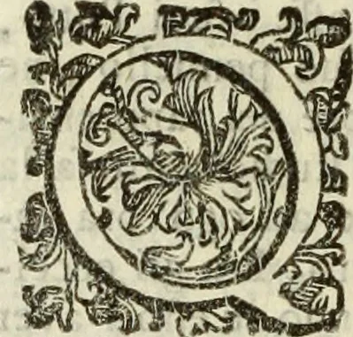 An illustration from Notizie de' professori del disegno da Cimabve in qva, per le quali si dimostra come, e per chi le bell'arti di pittura, scultura, e architettura lasciata la rozzezza delle maniere greca, e gottica, si siano in questi secoli ridotte all' antica loro perfezione, 1681, leaf 355