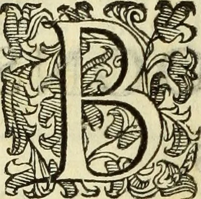 An illustration from Notizie de' professori del disegno da Cimabve in qva, per le quali si dimostra come, e per chi le bell'arti di pittura, scultura, e architettura lasciata la rozzezza delle maniere greca, e gottica, si siano in questi secoli ridotte all' antica loro perfezione, 1681, leaf 409