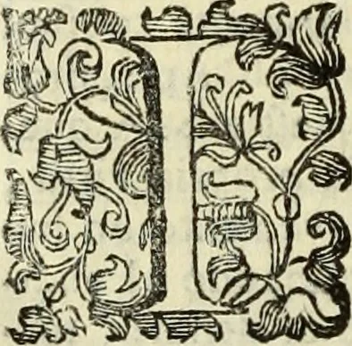 An illustration from Notizie de' professori del disegno da Cimabve in qva, per le quali si dimostra come, e per chi le bell'arti di pittura, scultura, e architettura lasciata la rozzezza delle maniere greca, e gottica, si siano in questi secoli ridotte all' antica loro perfezione, 1681, leaf 423