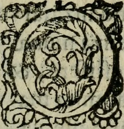 An illustration from Notizie di nobiltà, 1672, leaf 10