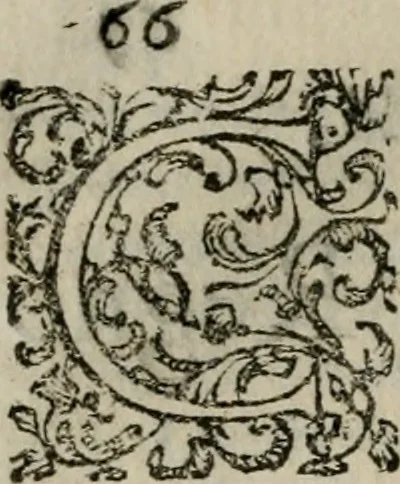 An illustration from Notizie di nobiltà, 1672, leaf 105