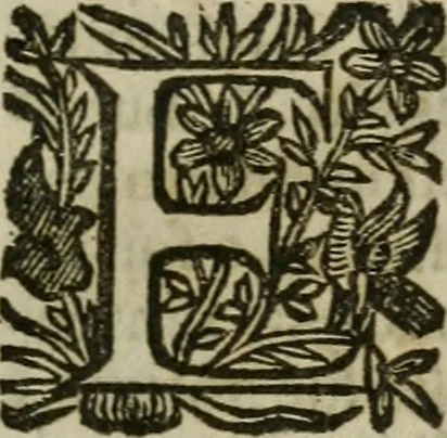 An illustration from Notizie di nobiltà, 1672, leaf 24