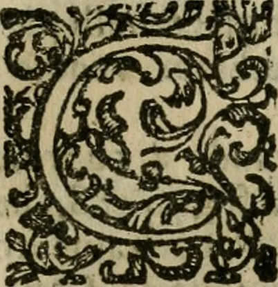 An illustration from Notizie di nobiltà, 1672, leaf 242