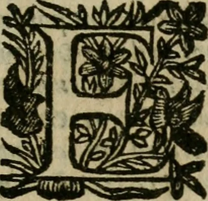An illustration from Notizie di nobiltà, 1672, leaf 244