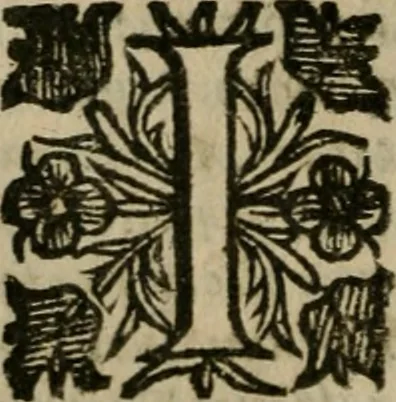An illustration from Notizie di nobiltà, 1672, leaf 245