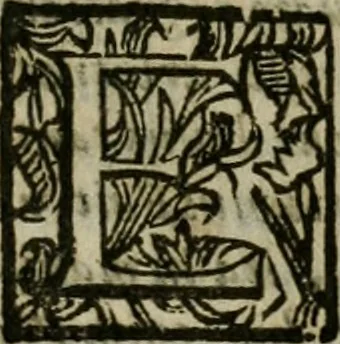 An illustration from Notizie di nobiltà, 1672, leaf 250