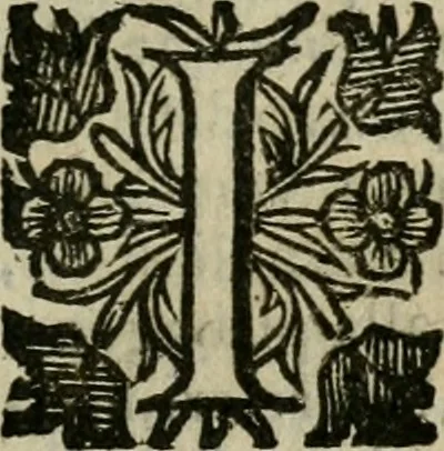 An illustration from Notizie di nobiltà, 1672, leaf 258