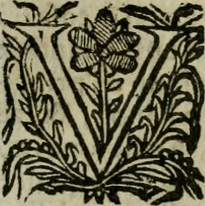 An illustration from Notizie di nobiltà, 1672, leaf 292