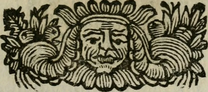 An illustration from Notizie di nobiltà, 1672, leaf 296